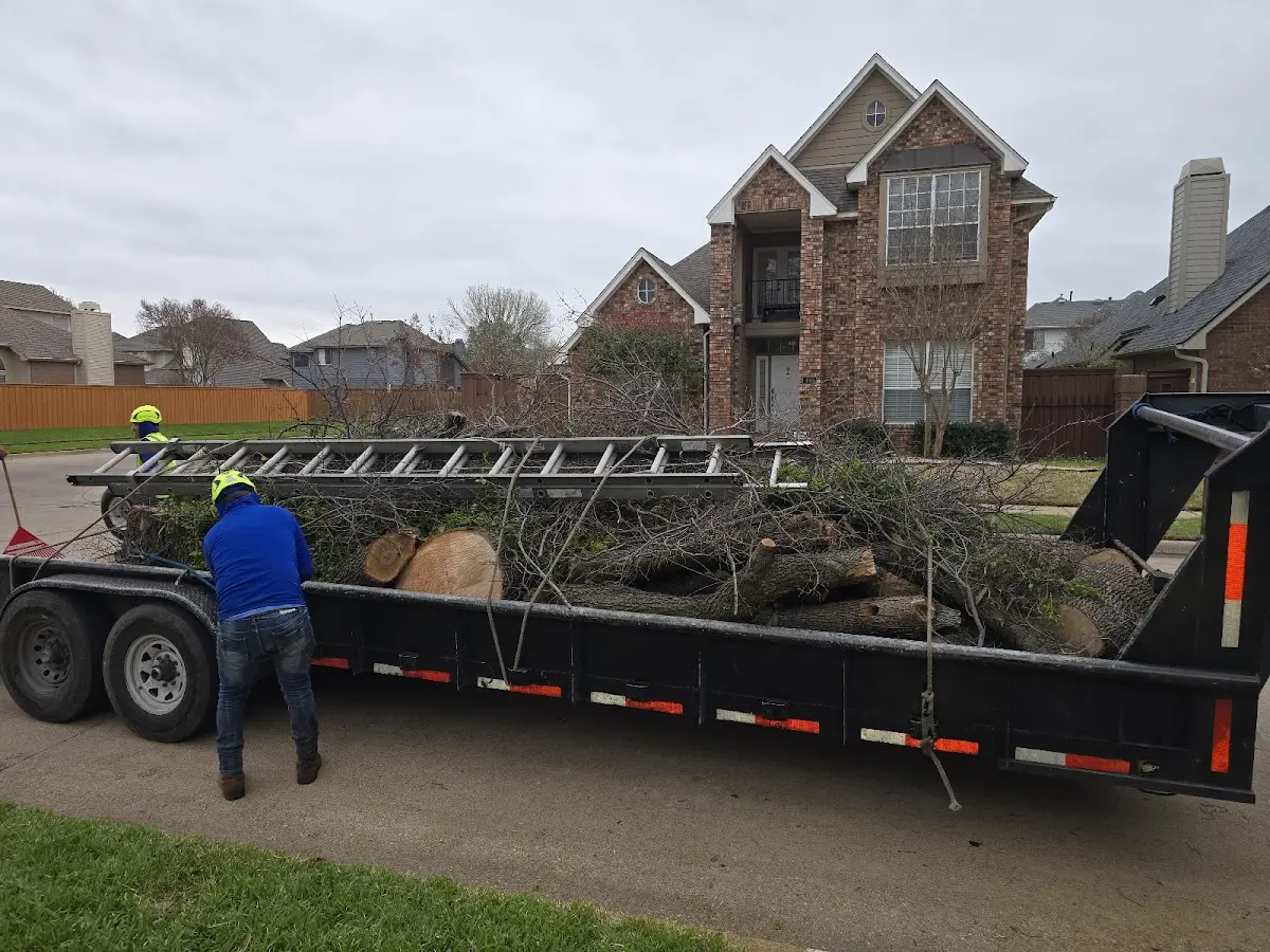 Expert Tree Fertilization with proper safety equipment in Oldham